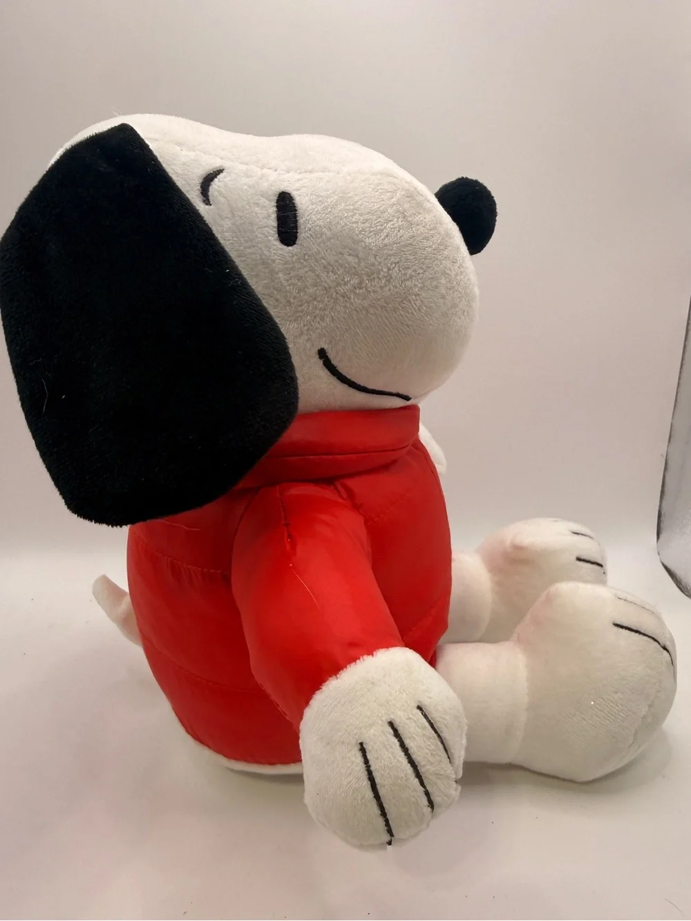 Ruz snoopy 2025